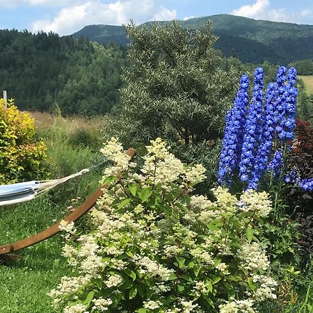 Osada Chyze Jewki Villa Cisna Exteriör bild
